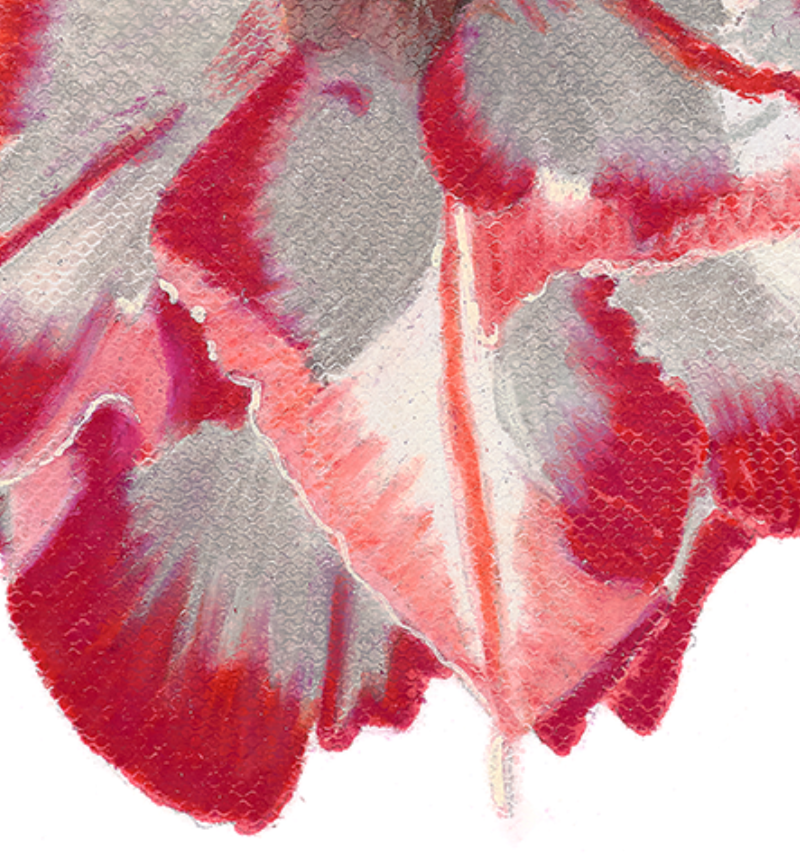 Desert Rose