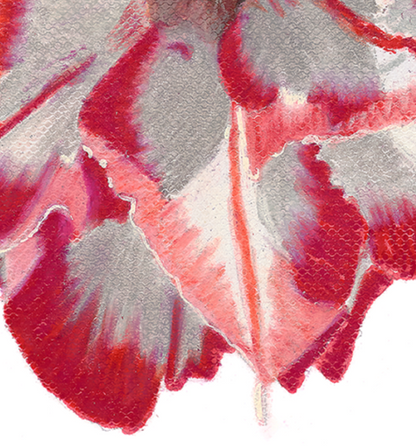 Desert Rose