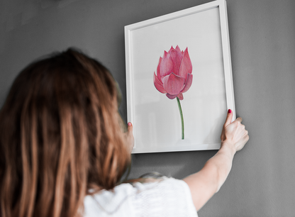 Lotus