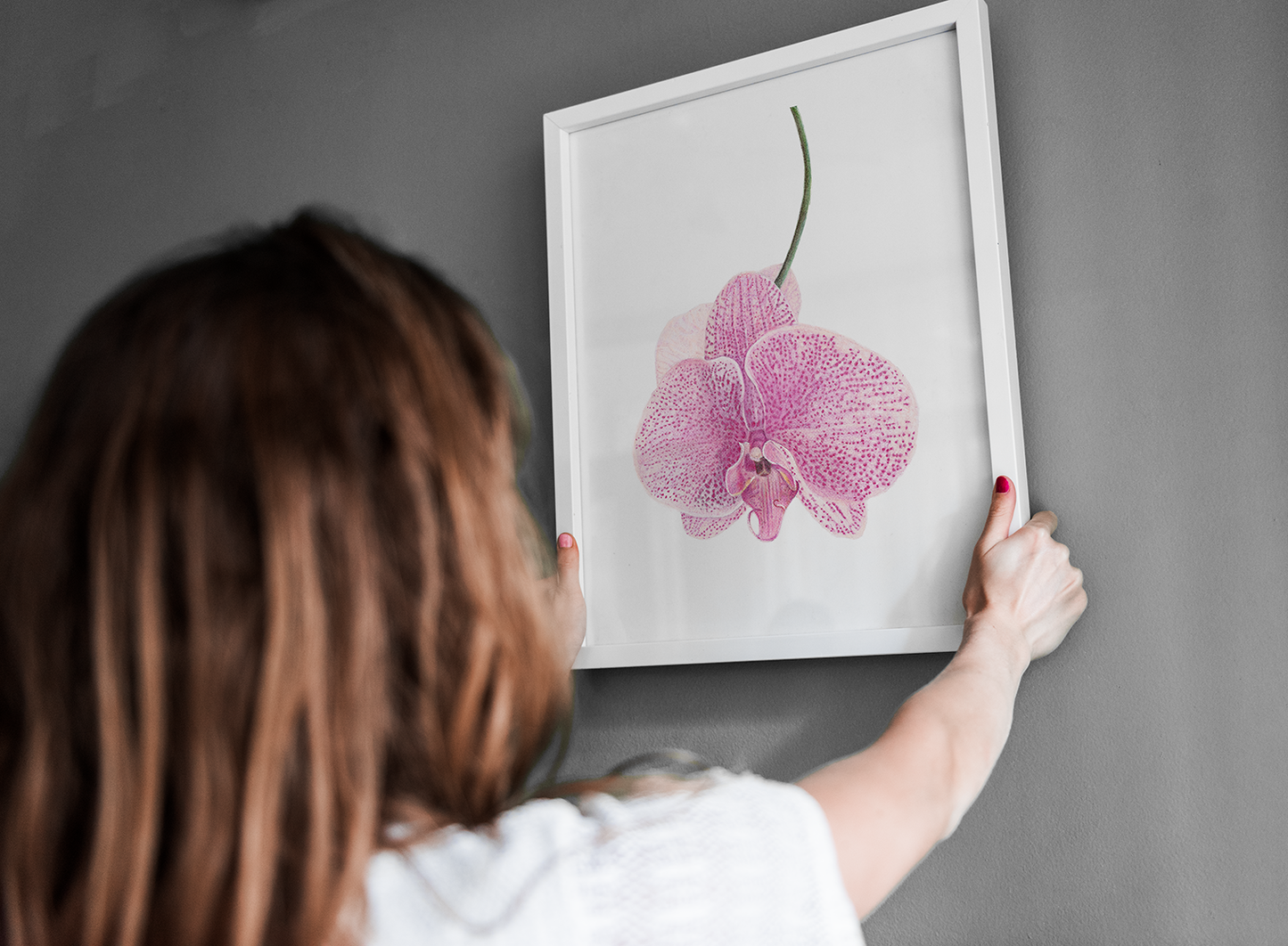 Orchid