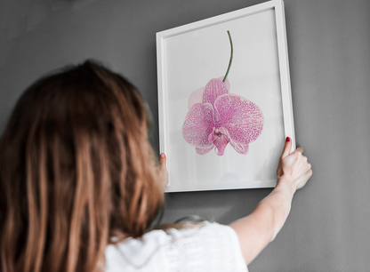 Orchid