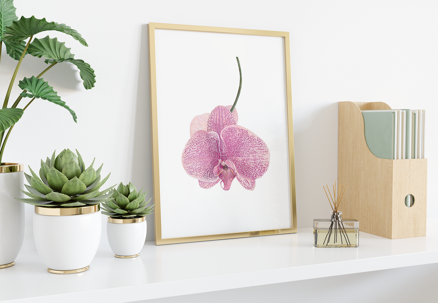 Orchid