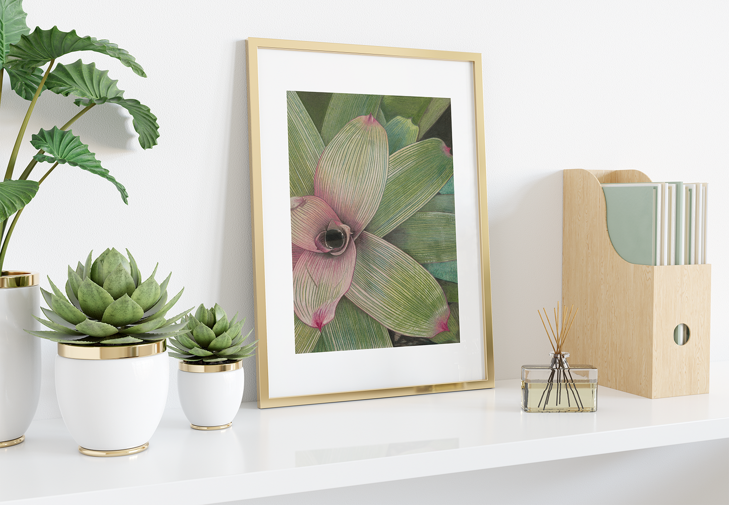 Bromeliad