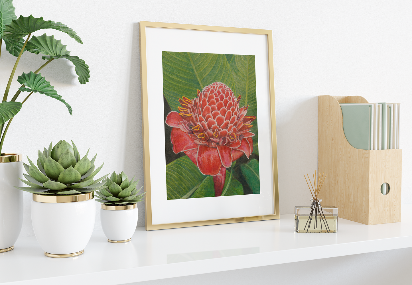 Red Torch Ginger